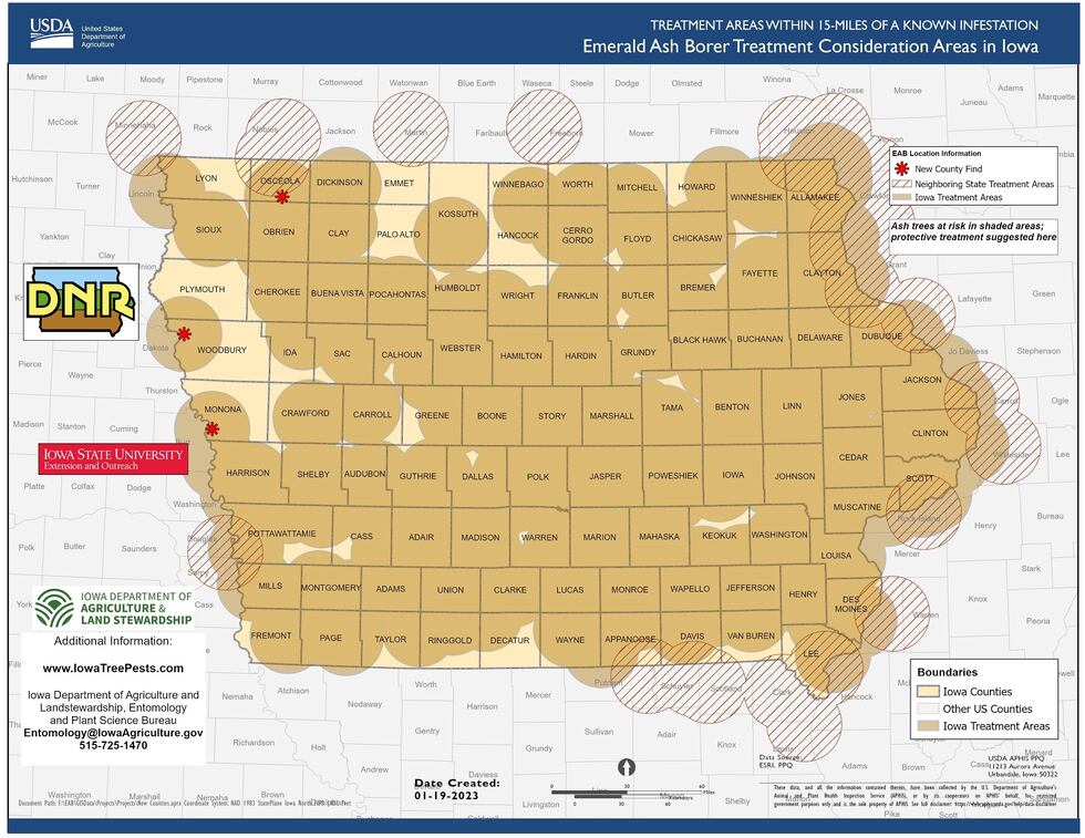 The invasive, ash tree-killing insect from Asia has now been confirmed in Monona, Osceola and...
