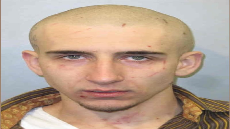 Police say Dylan Smith stolen two cars before crashing one of them into a police squad car...