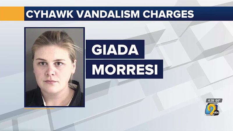 A Des Moines woman is facing more than a dozen felony charges for damaging police vehicles...